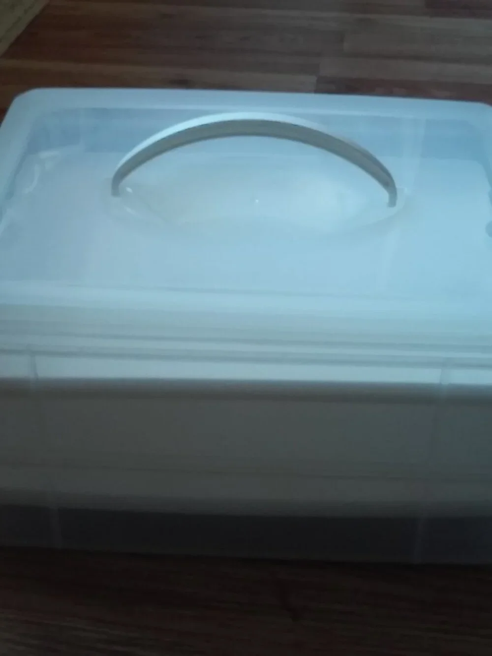 Snapware Reversible Trays Food Or Eggs Carrier